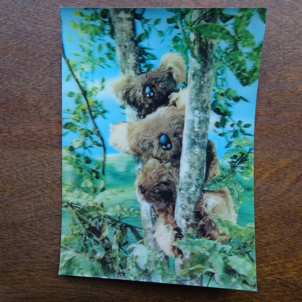 Vintage 3D Hologram Postcard Australia Koala Bears